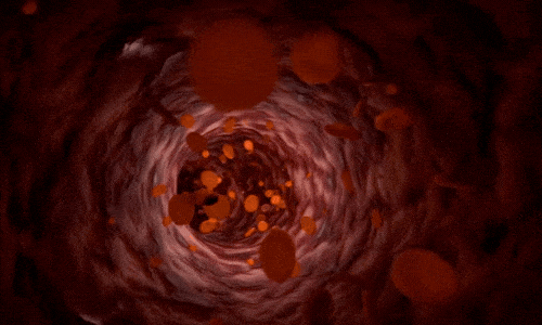 Forcells - Sexual Health Vascular Regeneration