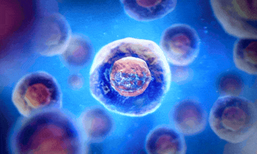 Forcells Orthobiologics Cell Growth