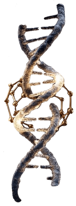 DNA-3